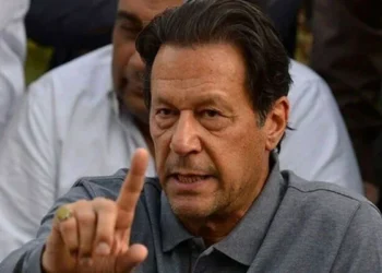 مجھے نہیں معلوم کس کو ٹکٹ ملا کس کو نہیں، زبانی کلامی کیسے فیصلہ کرسکتا ہوں: عمران خان